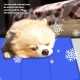 himaly Cooling Mat for Dogs and Cats (50 x 90 cm, Blue) Cooling Mat for Dogs and Cats with Cold Gel Pad, Self-Cooling Cushion, Cooling Dog Blanket for Cats and Dogs himaly Cooling Mat for Dogs and Cats (50 x 90 cm, Blue) Cooling Mat for Dogs and Cats with Cold Gel Pad, Self-Cooling Cushion, Cooling Dog Blanket for Cats and Dogs