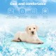 himaly Cooling Mat for Dogs and Cats, Dog Mats, Cat Beds, Foldable Self Gel Cooling Pad, Waterproof, Non-Slip, Cooling Blanket, Suitable for Home and Outdoor Use (20 x 36 Inches / 50 x 90 cm), Blue himaly Cooling Mat for Dogs and Cats, Dog Mats, Cat Beds, Foldable Self Gel Cooling Pad, Waterproof, Non-Slip, Cooling Blanket, Suitable for Home and Outdoor Use (20 x 36 Inches / 50 x 90 cm), Blue