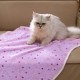 luciphia Dog Blanket, Cat Blanket, Washable, 1 x Pack of 3 Blankets for Small/Medium Dogs and Cats, Cuddly Blanket, Fluffy, Soft, Warm Fleece Pet Blanket for Travel, Sofa, 76 x 52 cm luciphia Dog Blanket, Cat Blanket, Washable, 1 x Pack of 3 Blankets for Small/Medium Dogs and Cats, Cuddly Blanket, Fluffy, Soft, Warm Fleece Pet Blanket for Travel, Sofa, 76 x 52 cm