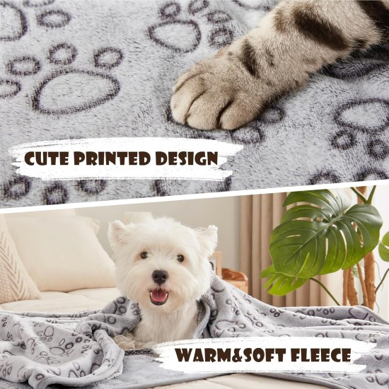luciphia Dog Blanket, Cat Blanket, Washable, 1 x Pack of 3 Blankets for Small/Medium Dogs and Cats, Cuddly Blanket, Fluffy, Soft, Warm Fleece Pet Blanket for Travel, Sofa, 76 x 52 cm luciphia Dog Blanket, Cat Blanket, Washable, 1 x Pack of 3 Blankets for Small/Medium Dogs and Cats, Cuddly Blanket, Fluffy, Soft, Warm Fleece Pet Blanket for Travel, Sofa, 76 x 52 cm