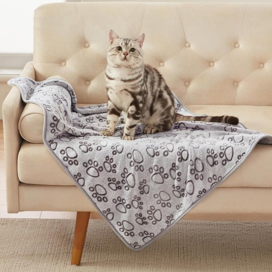 luciphia Dog Blanket, Cat Blanket, Washable, 1 x Pack of 3 Blankets for Small/Medium Dogs and Cats, Cuddly Blanket, Fluffy, Soft, Warm Fleece Pet Blanket for Travel, Sofa, 76 x 52 cm luciphia Dog Blanket, Cat Blanket, Washable, 1 x Pack of 3 Blankets for Small/Medium Dogs and Cats, Cuddly Blanket, Fluffy, Soft, Warm Fleece Pet Blanket for Travel, Sofa, 76 x 52 cm