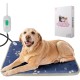 secretmotion Comfortable Dog Mat, Hypoallergenic (100% Polyester) - Washable with Fluffy Fabric Cover - Dog Mat, Medium Dog Bed