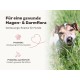 9-in-1 Probiotic Complex for Your Dog - Lucky Belly 110 Snacks (325g) by mammaly - Grass and Fecure-Eater Drops Promote Intestinal Regulation and Digestion - Digestive Snacks for Dogs with Vitamin E