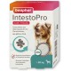 BEAPHAR - IntestoPro Tabs for Large Dogs - With Zeolite - With MOS & FOS - Supports the Balance of Intestinal Function - Pack of 20 BEAPHAR - IntestoPro Tabs for Large Dogs - With Zeolite - With MOS & FOS - Supports the Balance of Intestinal Function - Pack of 20