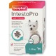 BEAPHAR - IntestoPro Tabs for Small Dogs - With Zeolite - With MOS & FOS - Supports the Balance of Intestinal Function - Pack of 20 BEAPHAR - IntestoPro Tabs for Small Dogs - With Zeolite - With MOS & FOS - Supports the Balance of Intestinal Function - Pack of 20