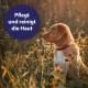 Canosept Intestinal Flora Dog – Prebiotics & Probiotics Dog – Supports Digestive Disorders – Dog Intestinal Flora Building – Intestinal Intestinal Discovery Dog – Dog Digestion Promote Through