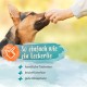 Diar-Stopp Tabs - Chewable Tablets Against Dog Diarrhoea - Diarrhoea for Dogs - Build Dog Intestinal Flora with Probiotics - Intestinal Restoration for the Dog - Stops Dog Diarrhoea - 120 Diar-Stopp Tabs - Chewable Tablets Against Dog Diarrhoea - Diarrhoea for Dogs - Build Dog Intestinal Flora with Probiotics - Intestinal Restoration for the Dog - Stops Dog Diarrhoea - 120