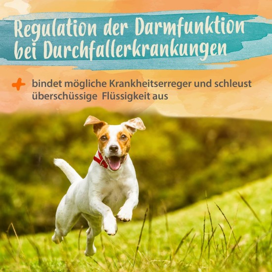 Diar-Stopp Tabs - Chewable Tablets Against Dog Diarrhoea - Diarrhoea for Dogs - Build Dog Intestinal Flora with Probiotics - Intestinal Restoration for the Dog - Stops Dog Diarrhoea - 120 Diar-Stopp Tabs - Chewable Tablets Against Dog Diarrhoea - Diarrhoea for Dogs - Build Dog Intestinal Flora with Probiotics - Intestinal Restoration for the Dog - Stops Dog Diarrhoea - 120