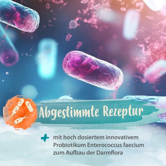 Diar-Stopp Tabs - Chewable Tablets Against Dog Diarrhoea - Diarrhoea for Dogs - Build Dog Intestinal Flora with Probiotics - Intestinal Restoration for the Dog - Stops Dog Diarrhoea - 120 Diar-Stopp Tabs - Chewable Tablets Against Dog Diarrhoea - Diarrhoea for Dogs - Build Dog Intestinal Flora with Probiotics - Intestinal Restoration for the Dog - Stops Dog Diarrhoea - 120