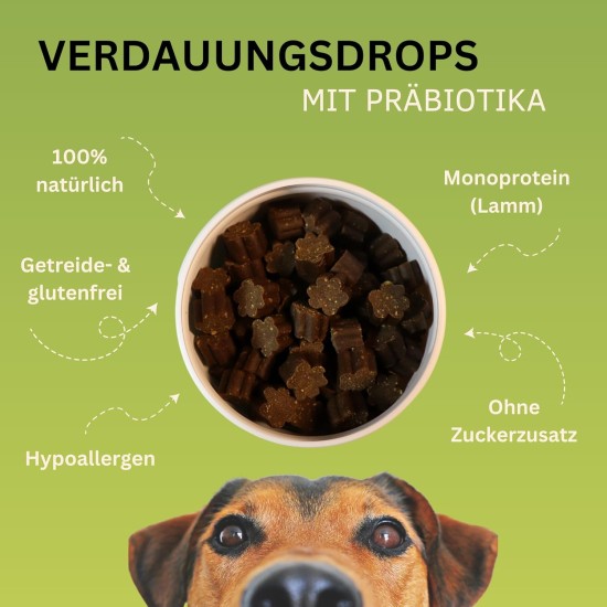 Digestive Drops with Prebiotics for Dogs I Support Grass and Fecing I Diarrhea & Heartburn I 100% Natural I Approx. 120 Pieces I Monoprotein I Hypoallergenic Digestive Drops with Prebiotics for Dogs I Support Grass and Fecing I Diarrhea & Heartburn I 100% Natural I Approx. 120 Pieces I Monoprotein I Hypoallergenic