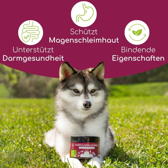 Digestive Snack for Dogs - 125 Treats with Prebiotic Yeast & Herbs | 100% Natural | Supports Intestinal Flora & Normal Faeces | 125 Gentle Dog Snacks Digestive Snack for Dogs - 125 Treats with Prebiotic Yeast & Herbs | 100% Natural | Supports Intestinal Flora & Normal Faeces | 125 Gentle Dog Snacks