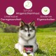 Digestive Snack for Dogs - 125 Treats with Prebiotic Yeast & Herbs | 100% Natural | Supports Intestinal Flora & Normal Faeces | 125 Gentle Dog Snacks Digestive Snack for Dogs - 125 Treats with Prebiotic Yeast & Herbs | 100% Natural | Supports Intestinal Flora & Normal Faeces | 125 Gentle Dog Snacks