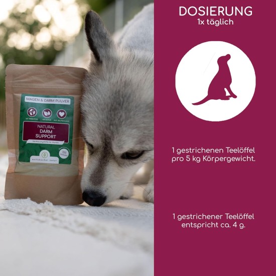 Digestive Snack for Dogs - 125 Treats with Prebiotic Yeast & Herbs | 100% Natural | Supports Intestinal Flora & Normal Faeces | 125 Gentle Dog Snacks Digestive Snack for Dogs - 125 Treats with Prebiotic Yeast & Herbs | 100% Natural | Supports Intestinal Flora & Normal Faeces | 125 Gentle Dog Snacks