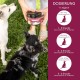 Digestive Snack for Dogs - 125 Treats with Prebiotic Yeast & Herbs | 100% Natural | Supports Intestinal Flora & Normal Faeces | 125 Gentle Dog Snacks Digestive Snack for Dogs - 125 Treats with Prebiotic Yeast & Herbs | 100% Natural | Supports Intestinal Flora & Normal Faeces | 125 Gentle Dog Snacks