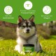 Digestive Snack for Dogs - 125 Treats with Prebiotic Yeast & Herbs | 100% Natural | Supports Intestinal Flora & Normal Faeces | 125 Gentle Dog Snacks Digestive Snack for Dogs - 125 Treats with Prebiotic Yeast & Herbs | 100% Natural | Supports Intestinal Flora & Normal Faeces | 125 Gentle Dog Snacks