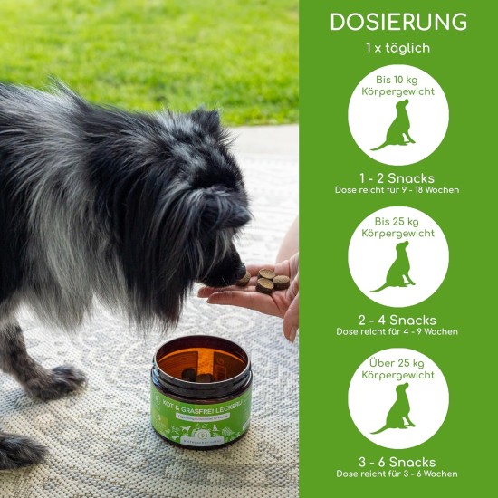 Digestive Snack for Dogs - 125 Treats with Prebiotic Yeast & Herbs | 100% Natural | Supports Intestinal Flora & Normal Faeces | 125 Gentle Dog Snacks Digestive Snack for Dogs - 125 Treats with Prebiotic Yeast & Herbs | 100% Natural | Supports Intestinal Flora & Normal Faeces | 125 Gentle Dog Snacks