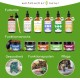 Digestive Snack for Dogs - 125 Treats with Prebiotic Yeast & Herbs | 100% Natural | Supports Intestinal Flora & Normal Faeces | 125 Gentle Dog Snacks Digestive Snack for Dogs - 125 Treats with Prebiotic Yeast & Herbs | 100% Natural | Supports Intestinal Flora & Normal Faeces | 125 Gentle Dog Snacks