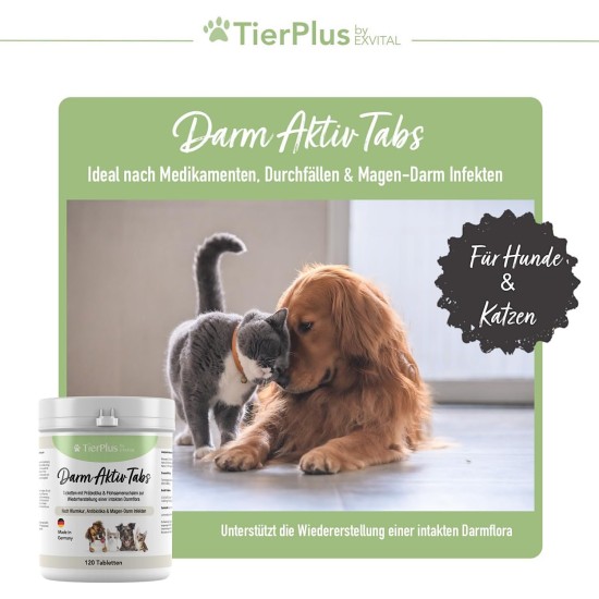 EXVital TierPlus intestinal active tablets for dogs and cats, prebiotic complex for healthy intestinal flora after diarrhea, worm treatment, antibiotics and gastrointestinal infections, 120 tablets EXVital TierPlus intestinal active tablets for dogs and cats, prebiotic complex for healthy intestinal flora after diarrhea, worm treatment, antibiotics and gastrointestinal infections, 120 tablets