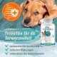 Ida Plus Darmbiotic Test Winner - Probiotics for Intestinal Restoration for the Dog - Build Intestinal Flora After Diarrhoea - Healthy Active Gut Bacteria - Immune System - Regulation Digestion - 240 Ida Plus Darmbiotic Test Winner - Probiotics for Intestinal Restoration for the Dog - Build Intestinal Flora After Diarrhoea - Healthy Active Gut Bacteria - Immune System - Regulation Digestion - 240