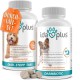 Ida Plus Darmbiotic Test Winner - Probiotics for Intestinal Restoration for the Dog - Build Intestinal Flora After Diarrhoea - Healthy Active Gut Bacteria - Immune System - Regulation Digestion - 240 Ida Plus Darmbiotic Test Winner - Probiotics for Intestinal Restoration for the Dog - Build Intestinal Flora After Diarrhoea - Healthy Active Gut Bacteria - Immune System - Regulation Digestion - 240