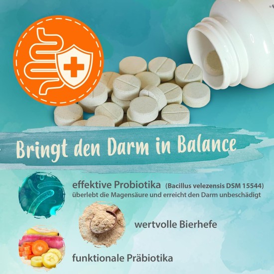 Ida Plus Darmbiotic Test Winner - Probiotics for Intestinal Restoration for the Dog - Build Intestinal Flora After Diarrhoea - Healthy Active Gut Bacteria - Immune System - Regulation Digestion - 240 Ida Plus Darmbiotic Test Winner - Probiotics for Intestinal Restoration for the Dog - Build Intestinal Flora After Diarrhoea - Healthy Active Gut Bacteria - Immune System - Regulation Digestion - 240