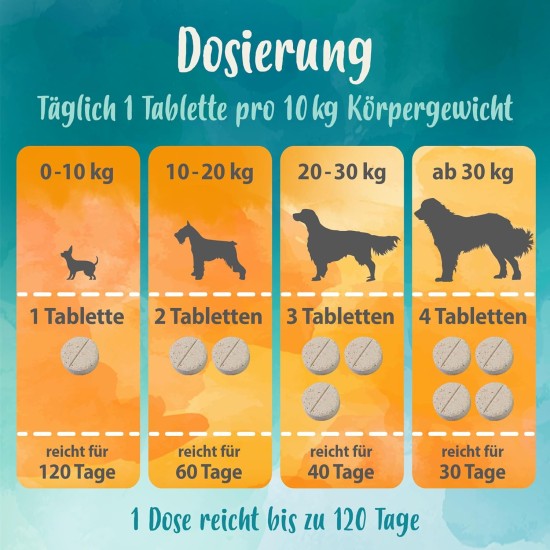 Ida Plus Darmbiotic Test Winner - Probiotics for Intestinal Restoration for the Dog - Build Intestinal Flora After Diarrhoea - Healthy Active Gut Bacteria - Immune System - Regulation Digestion - 240 Ida Plus Darmbiotic Test Winner - Probiotics for Intestinal Restoration for the Dog - Build Intestinal Flora After Diarrhoea - Healthy Active Gut Bacteria - Immune System - Regulation Digestion - 240
