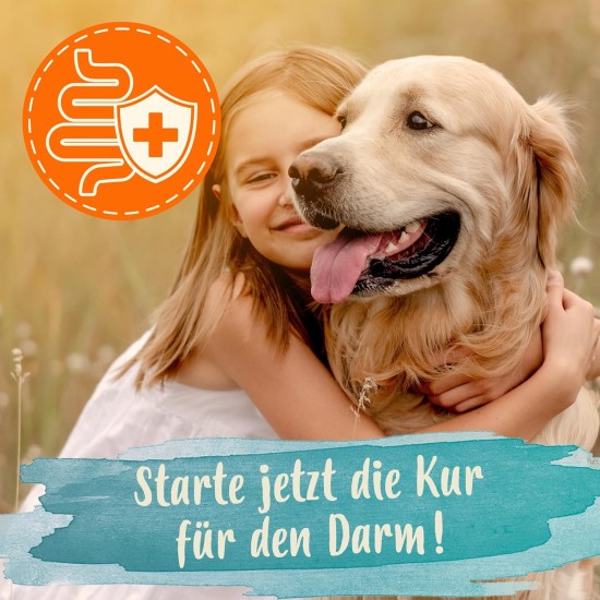 Ida Plus Darmbiotic Test Winner - Probiotics for Intestinal Restoration for the Dog - Build Intestinal Flora After Diarrhoea - Healthy Active Gut Bacteria - Immune System - Regulation Digestion - 240 Ida Plus Darmbiotic Test Winner - Probiotics for Intestinal Restoration for the Dog - Build Intestinal Flora After Diarrhoea - Healthy Active Gut Bacteria - Immune System - Regulation Digestion - 240