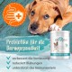 Ida Plus Darmbiotic Test Winner - Probiotics for Intestinal Restoration for the Dog - Build Intestinal Flora After Diarrhoea - Healthy Active Gut Bacteria - Immune System - Regulation Digestion - 240 Ida Plus Darmbiotic Test Winner - Probiotics for Intestinal Restoration for the Dog - Build Intestinal Flora After Diarrhoea - Healthy Active Gut Bacteria - Immune System - Regulation Digestion - 240