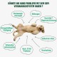 Probiotic Dog Probiotics as Treats - Dog Build Intestinal Flora, Improved Digestion & Immune System - 60 Delicious Snacks (270 g) with Chicken Probiotic Dog Probiotics as Treats - Dog Build Intestinal Flora, Improved Digestion & Immune System - 60 Delicious Snacks (270 g) with Chicken