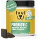 Probiotic Dog Probiotics as Treats - Dog Build Intestinal Flora, Improved Digestion & Immune System - 60 Delicious Snacks (270 g) with Chicken Probiotic Dog Probiotics as Treats - Dog Build Intestinal Flora, Improved Digestion & Immune System - 60 Delicious Snacks (270 g) with Chicken