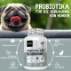 Probiotics for Digestion in Dogs - 120 Intestinal Capsules - Supports Intestinal Health, Gastric Intestinal Flora - With Lactobacillus, Linseed & Prebiotics - Intestinal Cleansing & Digestive Enzymes Probiotics for Digestion in Dogs - 120 Intestinal Capsules - Supports Intestinal Health, Gastric Intestinal Flora - With Lactobacillus, Linseed & Prebiotics - Intestinal Cleansing & Digestive Enzymes