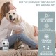 Probiotics for Digestion in Dogs - 120 Intestinal Capsules - Supports Intestinal Health, Gastric Intestinal Flora - With Lactobacillus, Linseed & Prebiotics - Intestinal Cleansing & Digestive Enzymes Probiotics for Digestion in Dogs - 120 Intestinal Capsules - Supports Intestinal Health, Gastric Intestinal Flora - With Lactobacillus, Linseed & Prebiotics - Intestinal Cleansing & Digestive Enzymes