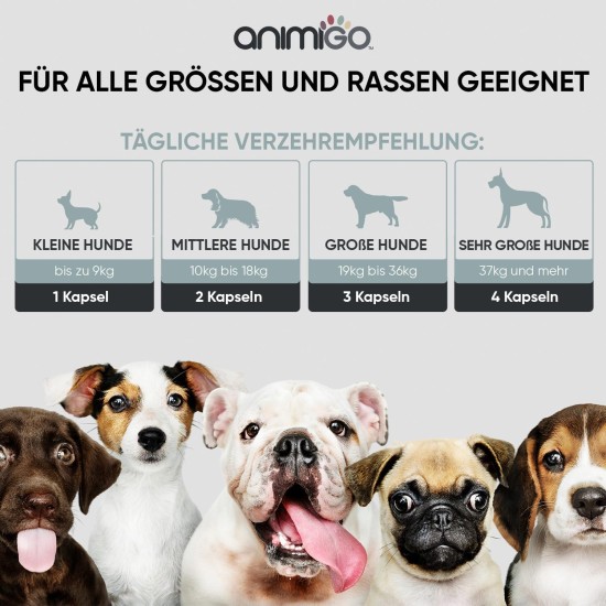 Probiotics for Digestion in Dogs - 120 Intestinal Capsules - Supports Intestinal Health, Gastric Intestinal Flora - With Lactobacillus, Linseed & Prebiotics - Intestinal Cleansing & Digestive Enzymes Probiotics for Digestion in Dogs - 120 Intestinal Capsules - Supports Intestinal Health, Gastric Intestinal Flora - With Lactobacillus, Linseed & Prebiotics - Intestinal Cleansing & Digestive Enzymes