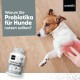 Probiotics for Digestion in Dogs - 120 Intestinal Capsules - Supports Intestinal Health, Gastric Intestinal Flora - With Lactobacillus, Linseed & Prebiotics - Intestinal Cleansing & Digestive Enzymes Probiotics for Digestion in Dogs - 120 Intestinal Capsules - Supports Intestinal Health, Gastric Intestinal Flora - With Lactobacillus, Linseed & Prebiotics - Intestinal Cleansing & Digestive Enzymes