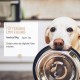 ReaVET Gastric mild powder for dogs, 500 g, to support digestion and harmonise gastrointestinal activity, natural stomach protection dog with bentonite and probiotics ReaVET Gastric mild powder for dogs, 500 g, to support digestion and harmonise gastrointestinal activity, natural stomach protection dog with bentonite and probiotics