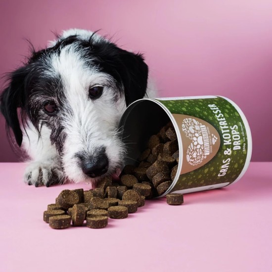 TIERLIEBHABER Grass & Poo Eater Drops for Dogs - For Eating Grass & Faeces - Soothes the Stomach & Reduces Heartburn - Grass Eater Drops with Healing Soil, Anise & Fennel (350 g | Approx. 150 Drops) TIERLIEBHABER Grass & Poo Eater Drops for Dogs - For Eating Grass & Faeces - Soothes the Stomach & Reduces Heartburn - Grass Eater Drops with Healing Soil, Anise & Fennel (350 g | Approx. 150 Drops)