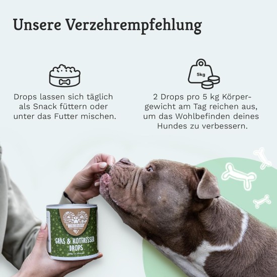 TIERLIEBHABER Grass & Poo Eater Drops for Dogs - For Eating Grass & Faeces - Soothes the Stomach & Reduces Heartburn - Grass Eater Drops with Healing Soil, Anise & Fennel (350 g | Approx. 150 Drops) TIERLIEBHABER Grass & Poo Eater Drops for Dogs - For Eating Grass & Faeces - Soothes the Stomach & Reduces Heartburn - Grass Eater Drops with Healing Soil, Anise & Fennel (350 g | Approx. 150 Drops)
