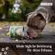TIERLIEBHABER Grass & Poo Eater Drops for Dogs - For Eating Grass & Faeces - Soothes the Stomach & Reduces Heartburn - Grass Eater Drops with Healing Soil, Anise & Fennel (350 g | Approx. 150 Drops) TIERLIEBHABER Grass & Poo Eater Drops for Dogs - For Eating Grass & Faeces - Soothes the Stomach & Reduces Heartburn - Grass Eater Drops with Healing Soil, Anise & Fennel (350 g | Approx. 150 Drops)