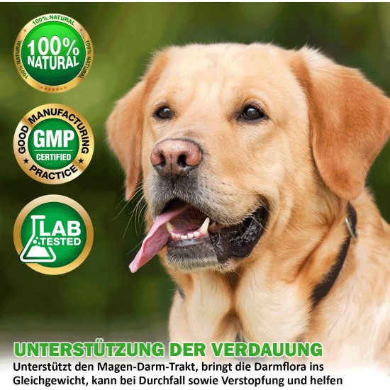 V-Point Flora Active for Dogs to Support Diarrhoea Bloating Digestive Problems Constipation Colic Stomach Problems Building Intestinal Flora Intestinal Restoration Natural Herbal Powder (250 g) V-Point Flora Active for Dogs to Support Diarrhoea Bloating Digestive Problems Constipation Colic Stomach Problems Building Intestinal Flora Intestinal Restoration Natural Herbal Powder (250 g)