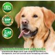 V-Point Flora Active for Dogs to Support Diarrhoea Bloating Digestive Problems Constipation Colic Stomach Problems Building Intestinal Flora Intestinal Restoration Natural Herbal Powder (250 g) V-Point Flora Active for Dogs to Support Diarrhoea Bloating Digestive Problems Constipation Colic Stomach Problems Building Intestinal Flora Intestinal Restoration Natural Herbal Powder (250 g)