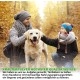 V-Point Flora Active for Dogs to Support Diarrhoea Bloating Digestive Problems Constipation Colic Stomach Problems Building Intestinal Flora Intestinal Restoration Natural Herbal Powder (250 g) V-Point Flora Active for Dogs to Support Diarrhoea Bloating Digestive Problems Constipation Colic Stomach Problems Building Intestinal Flora Intestinal Restoration Natural Herbal Powder (250 g)