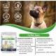 V-Point Flora Active for Dogs to Support Diarrhoea Bloating Digestive Problems Constipation Colic Stomach Problems Building Intestinal Flora Intestinal Restoration Natural Herbal Powder (250 g) V-Point Flora Active for Dogs to Support Diarrhoea Bloating Digestive Problems Constipation Colic Stomach Problems Building Intestinal Flora Intestinal Restoration Natural Herbal Powder (250 g)