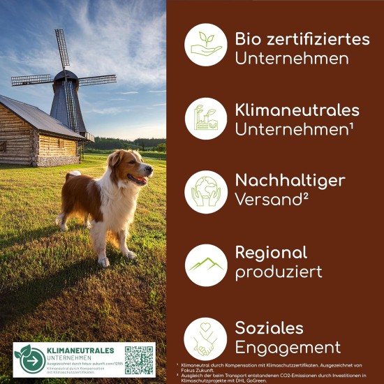 Wolfsbacher Digestive Snack for Dogs - 125 Treats with Prebiotic Yeast & Herbs | 100% Natural | Supports Intestinal Flora & Normal Faeces | 125 Gentle Dog Snacks Wolfsbacher Digestive Snack for Dogs - 125 Treats with Prebiotic Yeast & Herbs | 100% Natural | Supports Intestinal Flora & Normal Faeces | 125 Gentle Dog Snacks