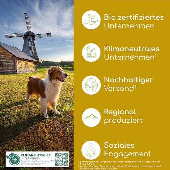 Wolfsbacher Digestive Snack for Dogs - 125 Treats with Prebiotic Yeast & Herbs | 100% Natural | Supports Intestinal Flora & Normal Faeces | 125 Gentle Dog Snacks Wolfsbacher Digestive Snack for Dogs - 125 Treats with Prebiotic Yeast & Herbs | 100% Natural | Supports Intestinal Flora & Normal Faeces | 125 Gentle Dog Snacks