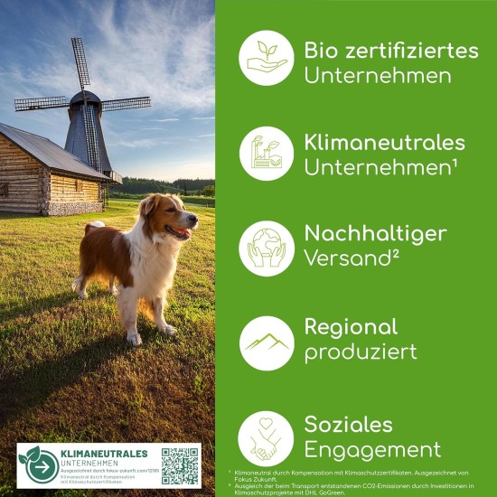 Wolfsbacher Digestive Snack for Dogs - 125 Treats with Prebiotic Yeast & Herbs | 100% Natural | Supports Intestinal Flora & Normal Faeces | 125 Gentle Dog Snacks Wolfsbacher Digestive Snack for Dogs - 125 Treats with Prebiotic Yeast & Herbs | 100% Natural | Supports Intestinal Flora & Normal Faeces | 125 Gentle Dog Snacks