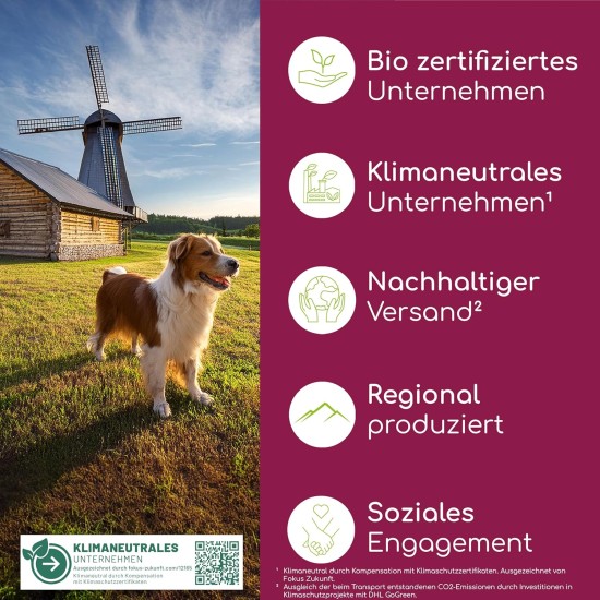 Wolfsbacher Digestive Snack for Dogs - 125 Treats with Prebiotic Yeast & Herbs | 100% Natural | Supports Intestinal Flora & Normal Faeces | 125 Gentle Dog Snacks Wolfsbacher Digestive Snack for Dogs - 125 Treats with Prebiotic Yeast & Herbs | 100% Natural | Supports Intestinal Flora & Normal Faeces | 125 Gentle Dog Snacks