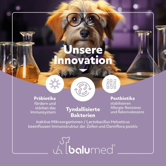 balumed® Snacks stomach and intestines highly concentrated with fennel seeds and psyllium husks for dogs, treats with prebiotics, postbiotics, chamomile flowers, brewer's yeast, omega-3, vitamins E + balumed® Snacks stomach and intestines highly concentrated with fennel seeds and psyllium husks for dogs, treats with prebiotics, postbiotics, chamomile flowers, brewer's yeast, omega-3, vitamins E +