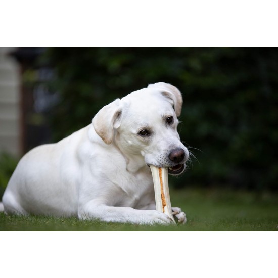 8-in-1 Delights Chicken Chew Bone Strong, Extra Strong for Strong Chewing Dogs, Various sizes. 8-in-1 Delights Chicken Chew Bone Strong, Extra Strong for Strong Chewing Dogs, Various sizes.