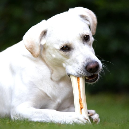 8-in-1 Delights Chicken Chew Bone Strong, Extra Strong for Strong Chewing Dogs, Various sizes., May vary 8-in-1 Delights Chicken Chew Bone Strong, Extra Strong for Strong Chewing Dogs, Various sizes., May vary