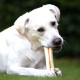 8-in-1 Delights Chicken Chew Bone Strong, Extra Strong for Strong Chewing Dogs, Various sizes., May vary 8-in-1 Delights Chicken Chew Bone Strong, Extra Strong for Strong Chewing Dogs, Various sizes., May vary